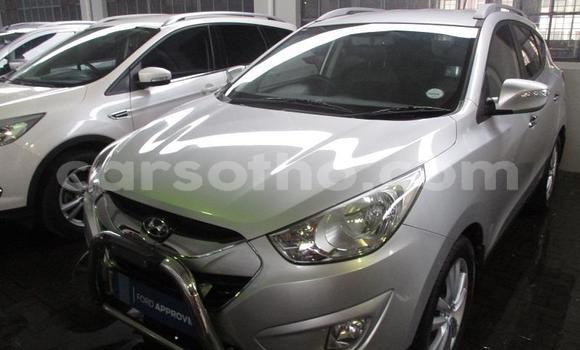 Acheter Occasion Voiture Nissan X–Trail Gris à Maseru, Maseru Acheter Occasion Voiture Nissan X–Trail Gris à Maseru, Maseru