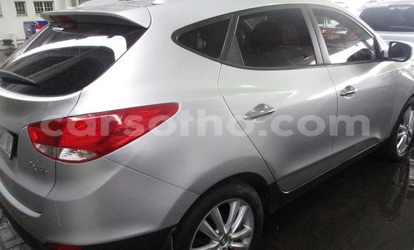 Acheter Occasion Voiture Nissan X–Trail Gris à Maseru, Maseru Acheter Occasion Voiture Nissan X–Trail Gris à Maseru, Maseru