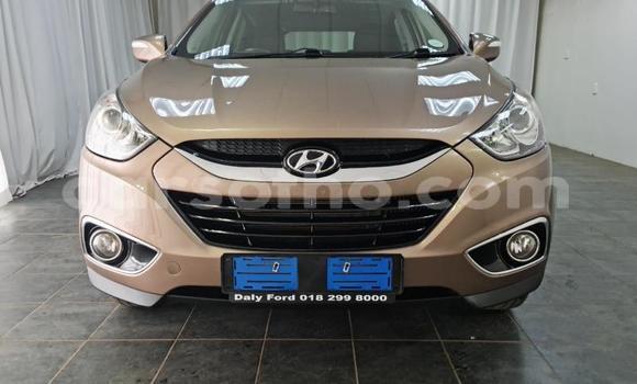 Acheter Occasion Voiture Nissan X–Trail Marron à Maseru, Maseru Acheter Occasion Voiture Nissan X–Trail Marron à Maseru, Maseru