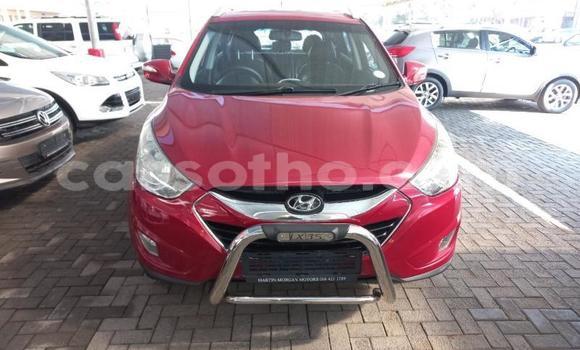 Acheter Occasion Voiture Nissan X–Trail Rouge à Maseru, Maseru Acheter Occasion Voiture Nissan X–Trail Rouge à Maseru, Maseru