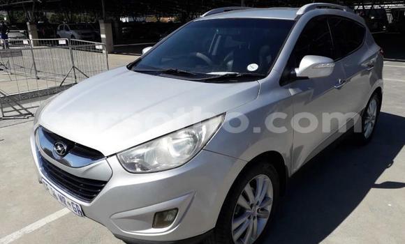 Acheter Occasion Voiture Nissan X–Trail Blanc à Maputsoe, Leribe Acheter Occasion Voiture Nissan X–Trail Blanc à Maputsoe, Leribe