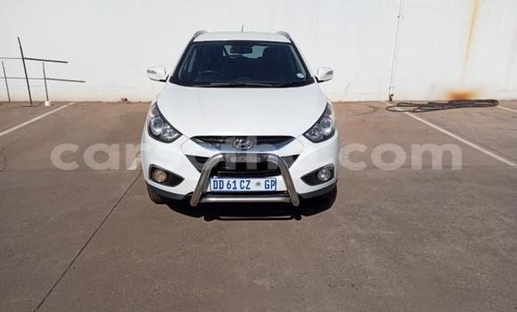 Acheter Occasion Voiture Nissan X–Trail Blanc à Maseru, Maseru Acheter Occasion Voiture Nissan X–Trail Blanc à Maseru, Maseru