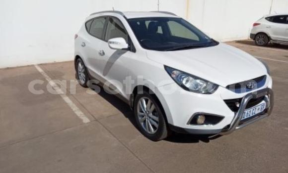 Acheter Occasion Voiture Nissan X–Trail Blanc à Maseru, Maseru Acheter Occasion Voiture Nissan X–Trail Blanc à Maseru, Maseru