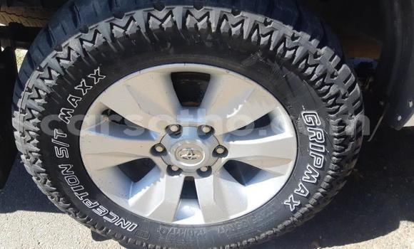 Sayi Na hannu Toyota Hilux White Mota in Hlotse a Leribe Sayi Na hannu Toyota Hilux White Mota in Hlotse a Leribe