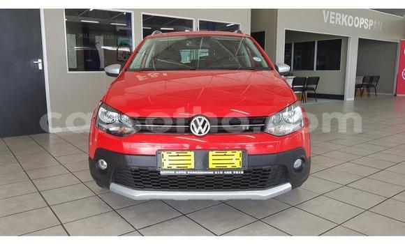 اشتري مستعمل Volkswagen Polo Red سيارة في Maseru في Maseru اشتري مستعمل Volkswagen Polo Red سيارة في Maseru في Maseru