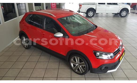 اشتري مستعمل Volkswagen Polo Red سيارة في Maseru في Maseru اشتري مستعمل Volkswagen Polo Red سيارة في Maseru في Maseru