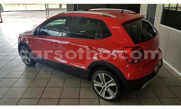 اشتري مستعمل Volkswagen Polo Red سيارة في Maseru في Maseru اشتري مستعمل Volkswagen Polo Red سيارة في Maseru في Maseru