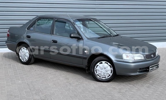 Buy Used Toyota Corolla Silver Car in Maseru in Maseru Buy Used Toyota Corolla Silver Car in Maseru in Maseru