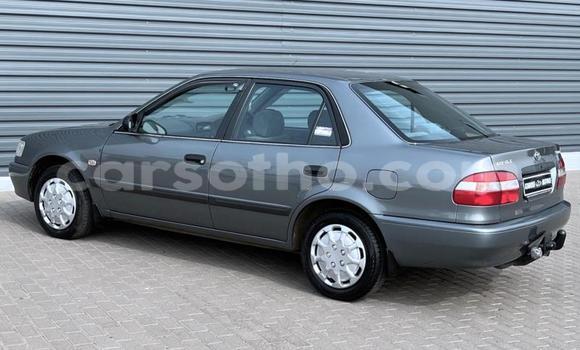 Buy Used Toyota Corolla Silver Car in Maseru in Maseru Buy Used Toyota Corolla Silver Car in Maseru in Maseru