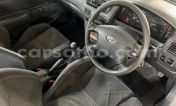 Buy Used Toyota Corolla Silver Car in Maseru in Maseru Buy Used Toyota Corolla Silver Car in Maseru in Maseru