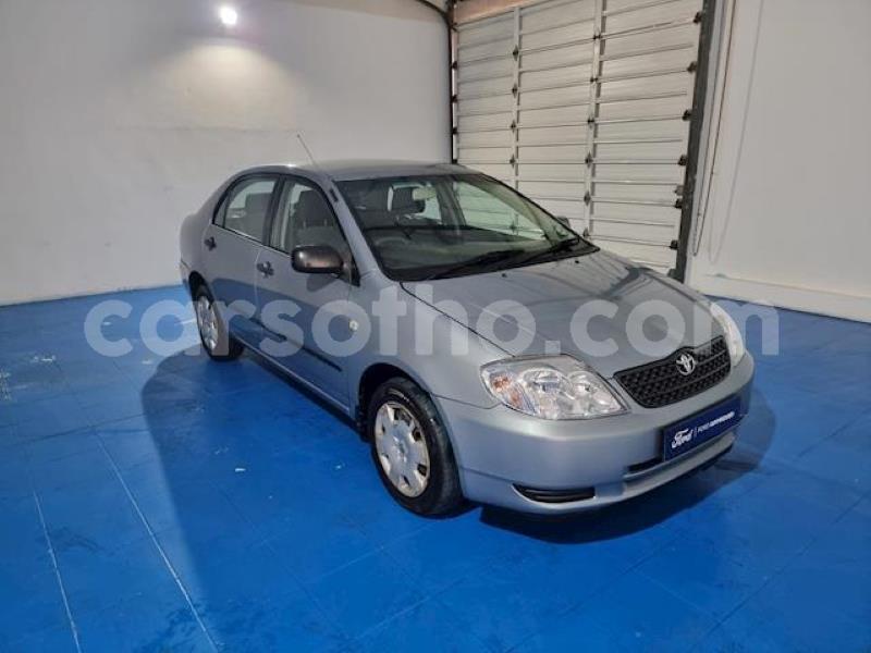 Big with watermark toyota corolla maseru maseru 24841