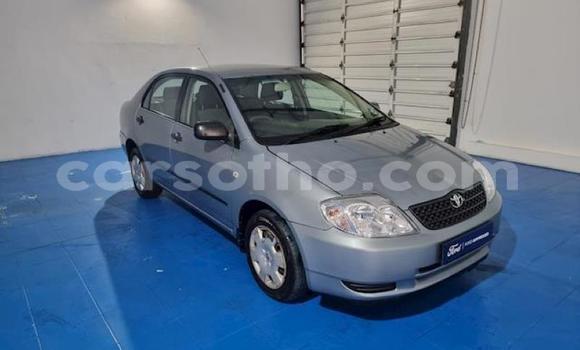 اشتري مستعمل Toyota Corolla Blue سيارة في Maseru في Maseru اشتري مستعمل Toyota Corolla Blue سيارة في Maseru في Maseru