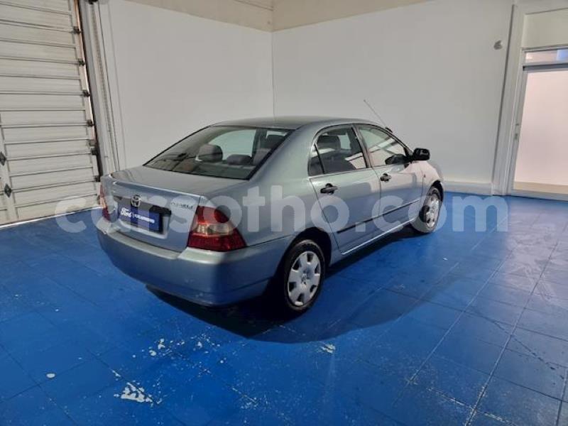 Big with watermark toyota corolla maseru maseru 24841