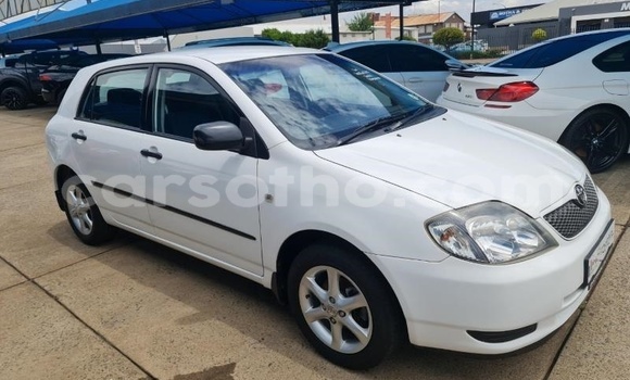 اشتري مستعمل Toyota Runx White سيارة في Maseru في Maseru اشتري مستعمل Toyota Runx White سيارة في Maseru في Maseru