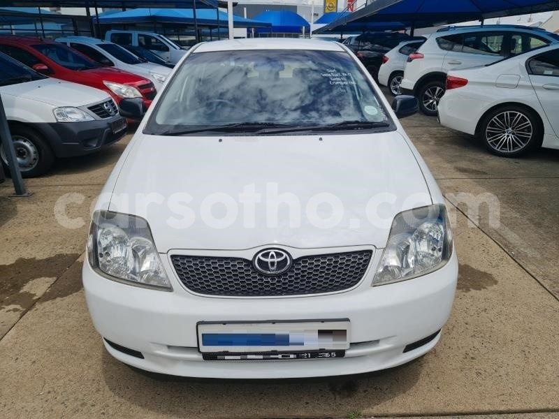 Big with watermark toyota runx maseru maseru 24842