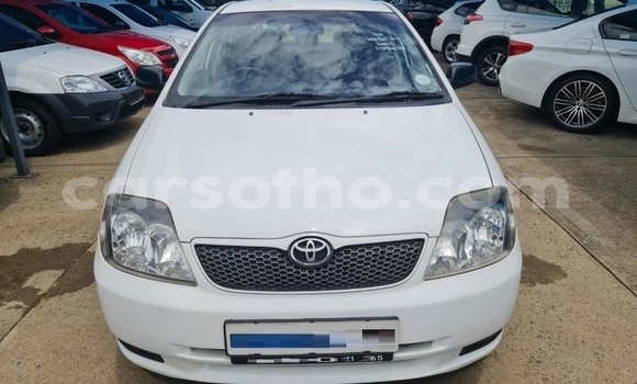 اشتري مستعمل Toyota Runx White سيارة في Maseru في Maseru اشتري مستعمل Toyota Runx White سيارة في Maseru في Maseru