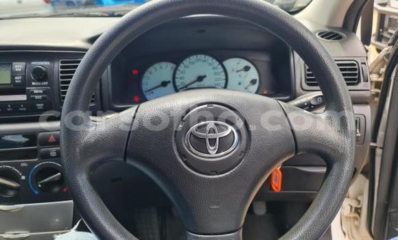 اشتري مستعمل Toyota Runx White سيارة في Maseru في Maseru اشتري مستعمل Toyota Runx White سيارة في Maseru في Maseru