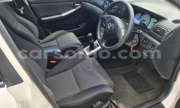 اشتري مستعمل Toyota Runx White سيارة في Maseru في Maseru اشتري مستعمل Toyota Runx White سيارة في Maseru في Maseru