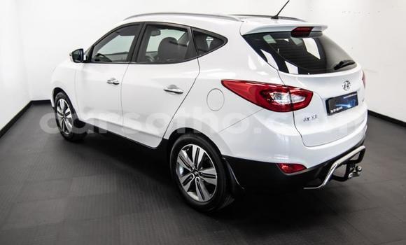 Buy Used Hyundai ix35 White Car in Maseru in Maseru Buy Used Hyundai ix35 White Car in Maseru in Maseru