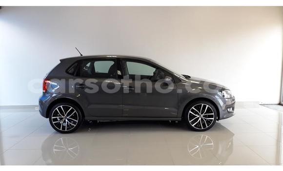 اشتري مستعمل Volkswagen Polo Black سيارة في Maseru في Maseru اشتري مستعمل Volkswagen Polo Black سيارة في Maseru في Maseru