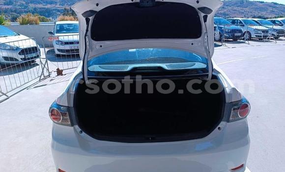 Acheter Occasion Voiture Toyota Corolla Blanc à Maputsoe, Leribe Acheter Occasion Voiture Toyota Corolla Blanc à Maputsoe, Leribe