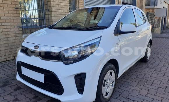 Sayi Na hannu Kia Picanto White Mota in Butha Buthe a Butha-Buthe Sayi Na hannu Kia Picanto White Mota in Butha Buthe a Butha-Buthe