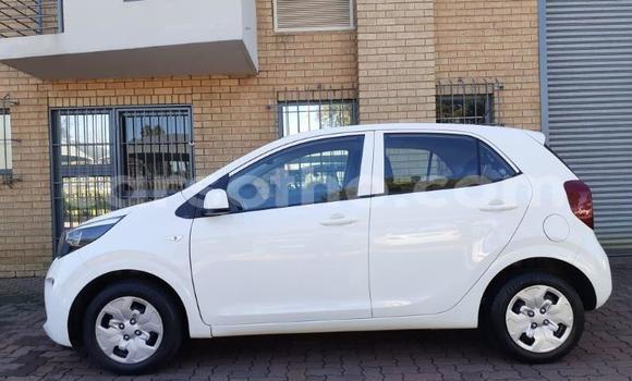 Sayi Na hannu Kia Picanto White Mota in Butha Buthe a Butha-Buthe Sayi Na hannu Kia Picanto White Mota in Butha Buthe a Butha-Buthe