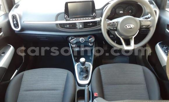 Sayi Na hannu Kia Picanto White Mota in Butha Buthe a Butha-Buthe Sayi Na hannu Kia Picanto White Mota in Butha Buthe a Butha-Buthe