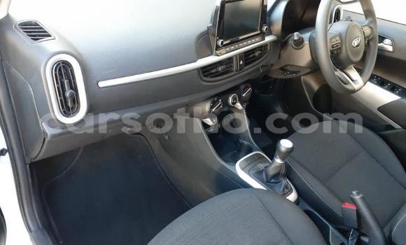 Sayi Na hannu Kia Picanto White Mota in Butha Buthe a Butha-Buthe Sayi Na hannu Kia Picanto White Mota in Butha Buthe a Butha-Buthe