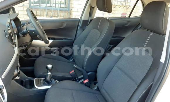 Sayi Na hannu Kia Picanto White Mota in Butha Buthe a Butha-Buthe Sayi Na hannu Kia Picanto White Mota in Butha Buthe a Butha-Buthe