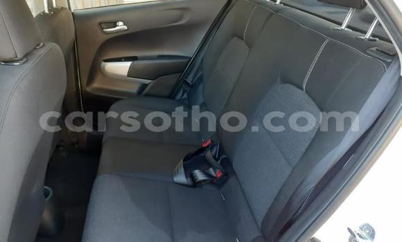 Sayi Na hannu Kia Picanto White Mota in Butha Buthe a Butha-Buthe Sayi Na hannu Kia Picanto White Mota in Butha Buthe a Butha-Buthe