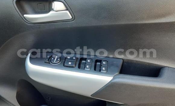 Sayi Na hannu Kia Picanto White Mota in Butha Buthe a Butha-Buthe Sayi Na hannu Kia Picanto White Mota in Butha Buthe a Butha-Buthe