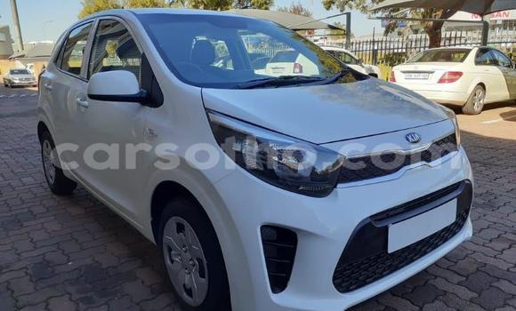 Sayi Na hannu Kia Picanto White Mota in Butha Buthe a Butha-Buthe Sayi Na hannu Kia Picanto White Mota in Butha Buthe a Butha-Buthe