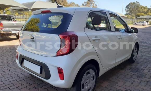 Sayi Na hannu Kia Picanto White Mota in Butha Buthe a Butha-Buthe Sayi Na hannu Kia Picanto White Mota in Butha Buthe a Butha-Buthe