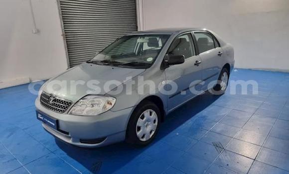 اشتري مستعمل Toyota Corolla Other سيارة في Maseru في Maseru اشتري مستعمل Toyota Corolla Other سيارة في Maseru في Maseru