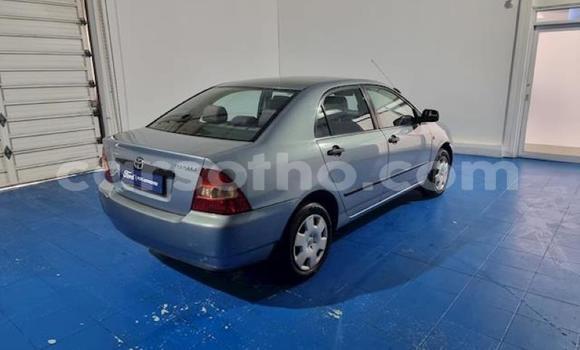 اشتري مستعمل Toyota Corolla Other سيارة في Maseru في Maseru اشتري مستعمل Toyota Corolla Other سيارة في Maseru في Maseru