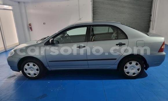 اشتري مستعمل Toyota Corolla Other سيارة في Maseru في Maseru اشتري مستعمل Toyota Corolla Other سيارة في Maseru في Maseru