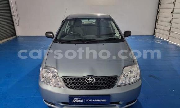 اشتري مستعمل Toyota Corolla Other سيارة في Maseru في Maseru اشتري مستعمل Toyota Corolla Other سيارة في Maseru في Maseru