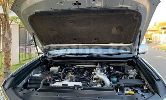 اشتري مستعمل Toyota Land Cruiser Prado Silver سيارة في Butha–Buthe في Thaba-Tseka اشتري مستعمل Toyota Land Cruiser Prado Silver سيارة في Butha–Buthe في Thaba-Tseka