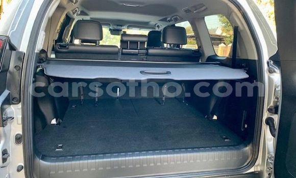 اشتري مستعمل Toyota Land Cruiser Prado Silver سيارة في Butha–Buthe في Thaba-Tseka اشتري مستعمل Toyota Land Cruiser Prado Silver سيارة في Butha–Buthe في Thaba-Tseka