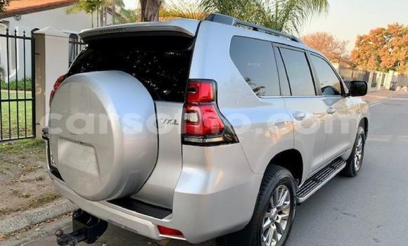 اشتري مستعمل Toyota Land Cruiser Prado Silver سيارة في Butha–Buthe في Thaba-Tseka اشتري مستعمل Toyota Land Cruiser Prado Silver سيارة في Butha–Buthe في Thaba-Tseka