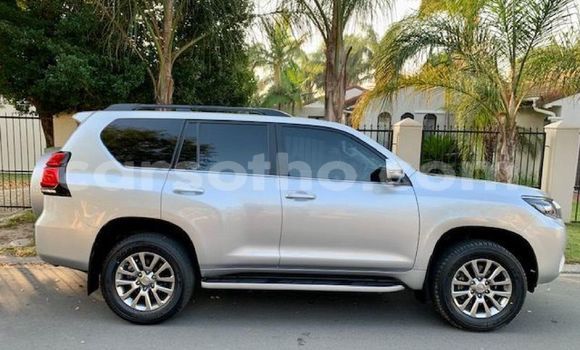 اشتري مستعمل Toyota Land Cruiser Prado Silver سيارة في Butha–Buthe في Thaba-Tseka اشتري مستعمل Toyota Land Cruiser Prado Silver سيارة في Butha–Buthe في Thaba-Tseka