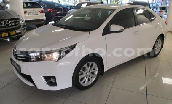Sayi Na hannu Toyota Corolla White Mota in Maseru a Maseru Sayi Na hannu Toyota Corolla White Mota in Maseru a Maseru