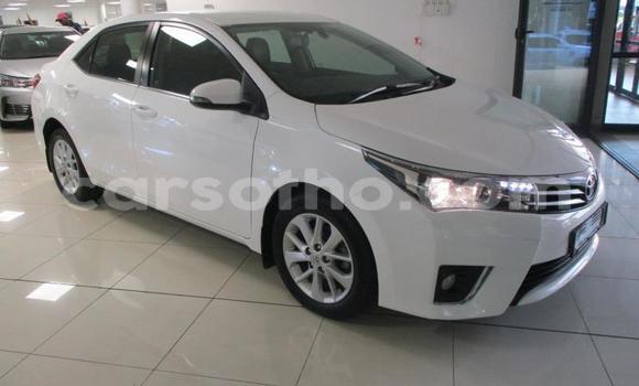 Sayi Na hannu Toyota Corolla White Mota in Maseru a Maseru Sayi Na hannu Toyota Corolla White Mota in Maseru a Maseru