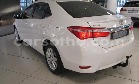 Sayi Na hannu Toyota Corolla White Mota in Maseru a Maseru Sayi Na hannu Toyota Corolla White Mota in Maseru a Maseru