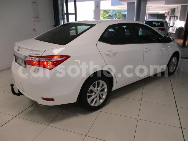 Big with watermark toyota corolla maseru maseru 24921