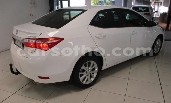 Sayi Na hannu Toyota Corolla White Mota in Maseru a Maseru Sayi Na hannu Toyota Corolla White Mota in Maseru a Maseru