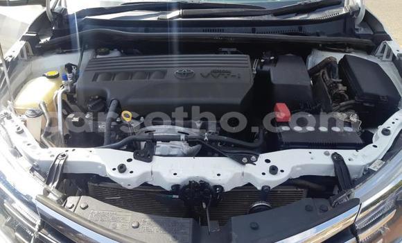 Sayi Na hannu Toyota Corolla White Mota in Maseru a Maseru Sayi Na hannu Toyota Corolla White Mota in Maseru a Maseru