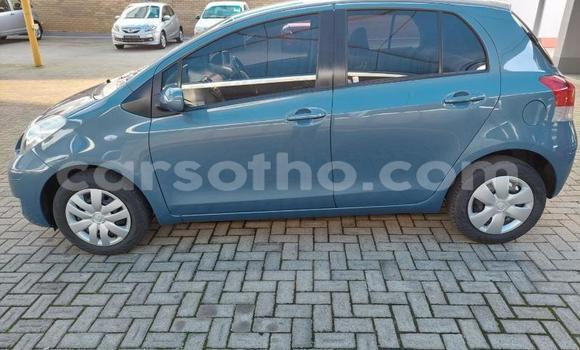 Acheter Occasion Voiture Toyota Yaris Bleu à Maseru, Maseru Acheter Occasion Voiture Toyota Yaris Bleu à Maseru, Maseru