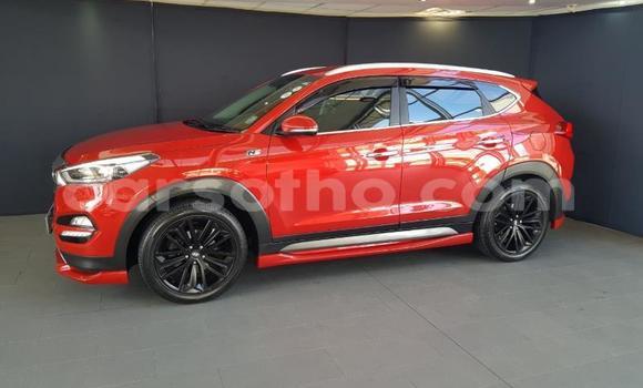 Acheter Occasion Voiture Hyundai Tucson Rouge à Maseru, Maseru Acheter Occasion Voiture Hyundai Tucson Rouge à Maseru, Maseru